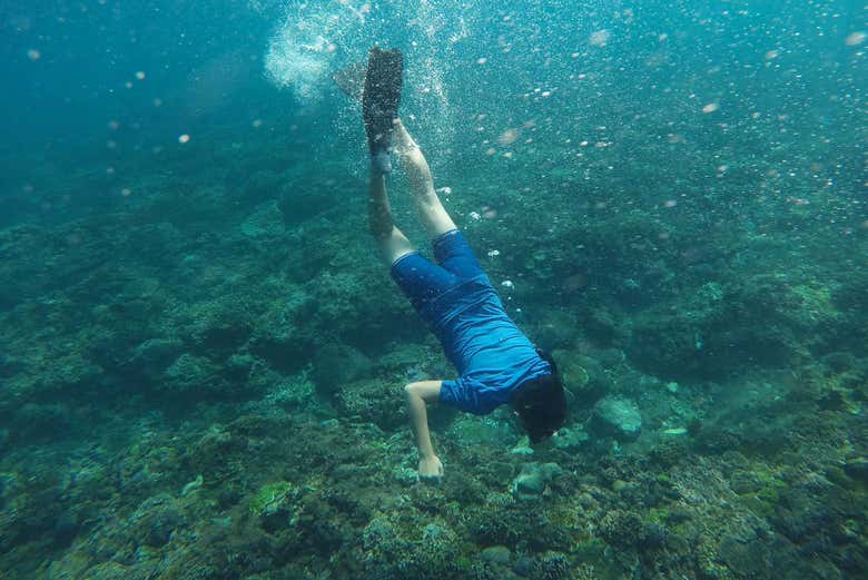 Excursão a Nusa Penida Snorkel saindo de Bali Tudo Sobre Bali