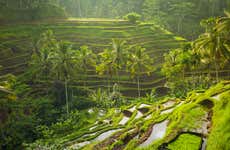 Tour privado por Ubud e o centro de Bali