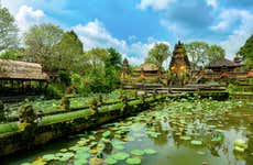 Visita guiada por Ubud